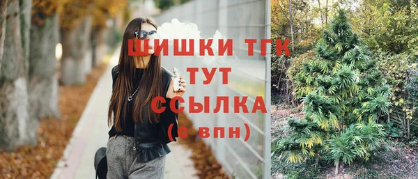 mix Алексин