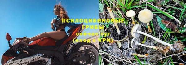 mix Алексин