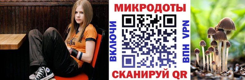 Галлюциногенные грибы Psilocybine cubensis  где можно купить наркотик  Карачев 