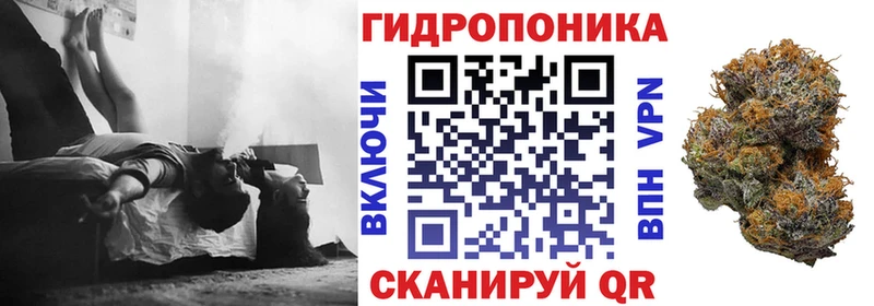 Шишки марихуана конопля  Карачев 